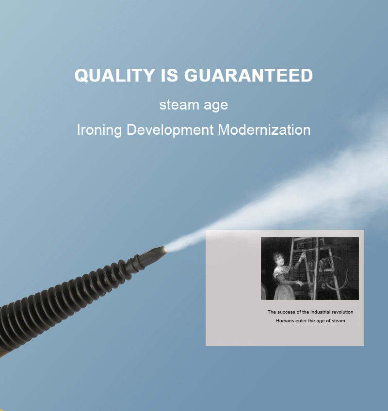 DF Steam Cleaner DF-A001 - Powerful and Efficient Cleaning Solution for Your Home